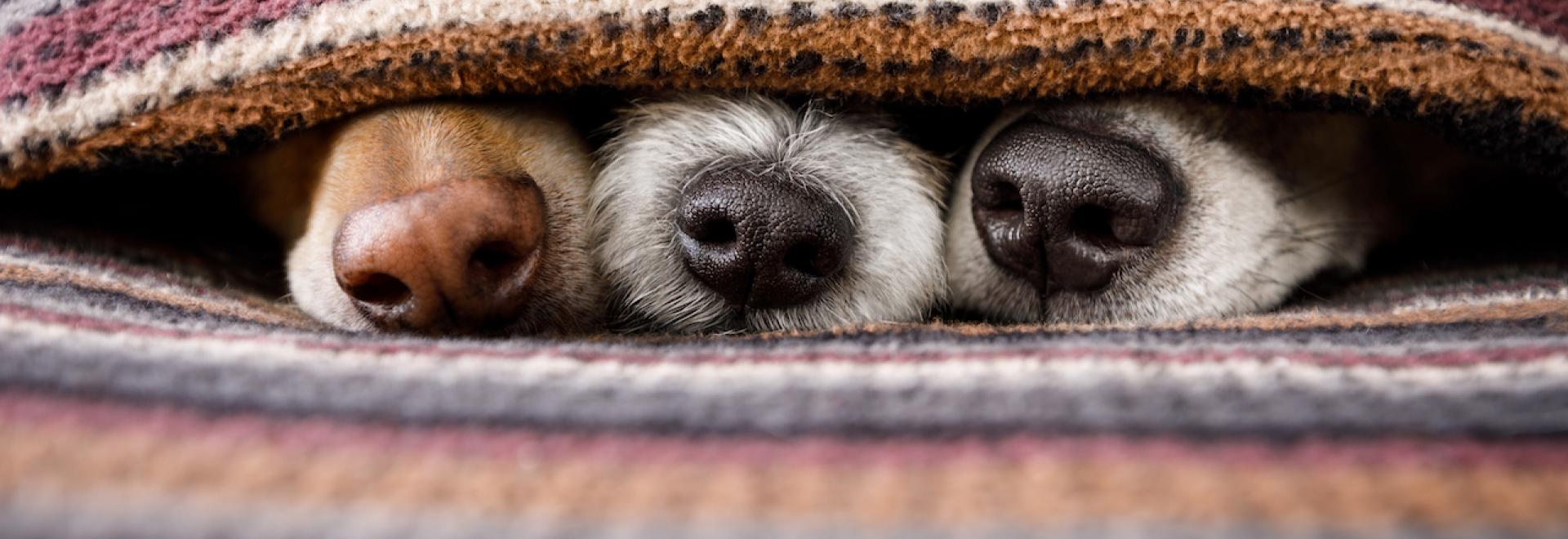 How to Avoid Costly Winter Home Repair Bills in Oklahoma blog header image